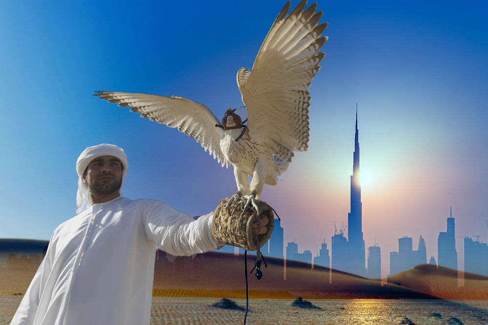 15% Tax For High Income Companies in Dubai and Abu Dhabi